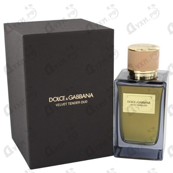 dolce gabbana tender oud